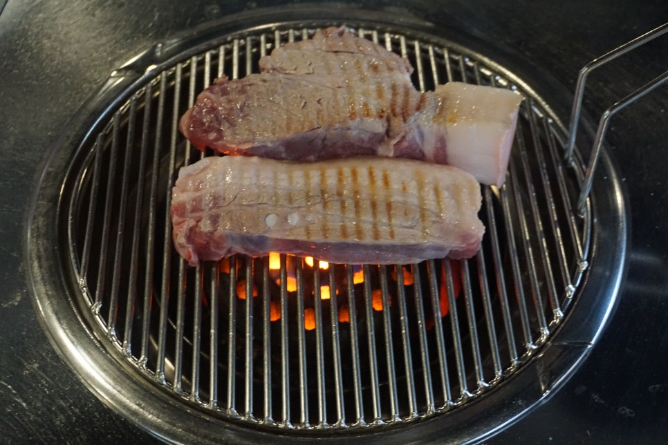 탐라도니 이미지