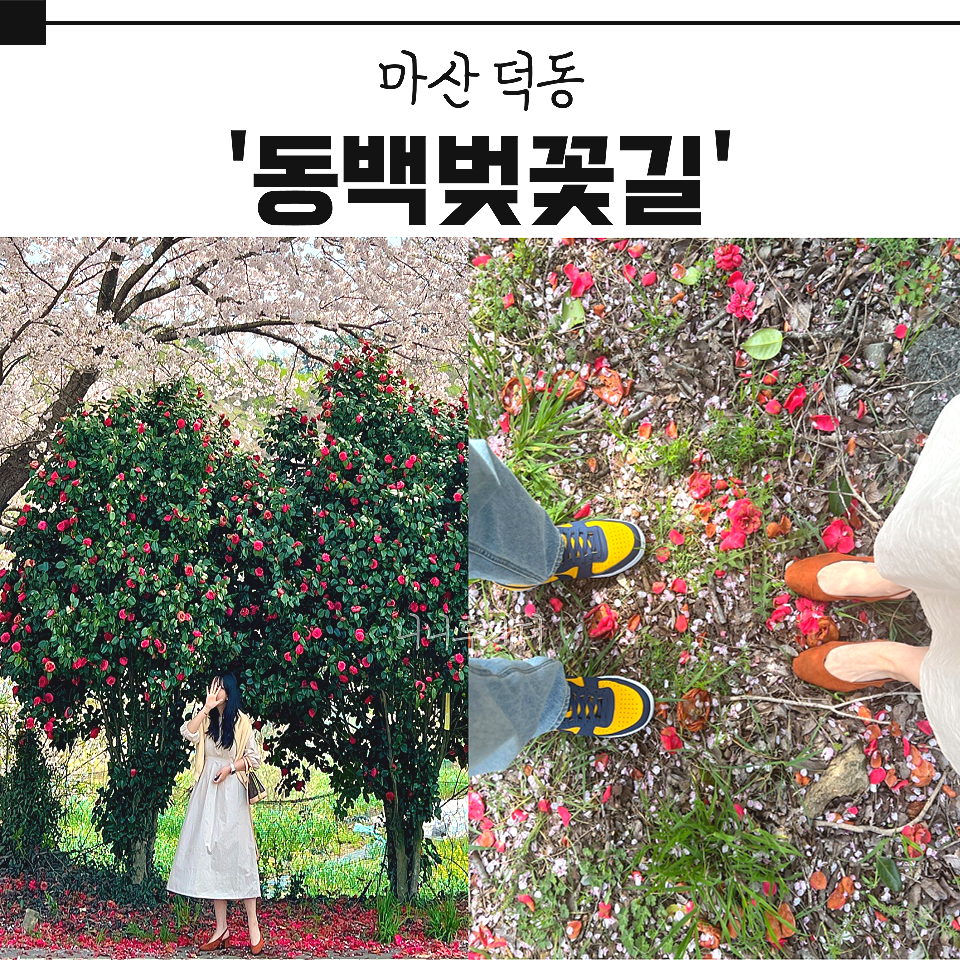 동강주유소 이미지