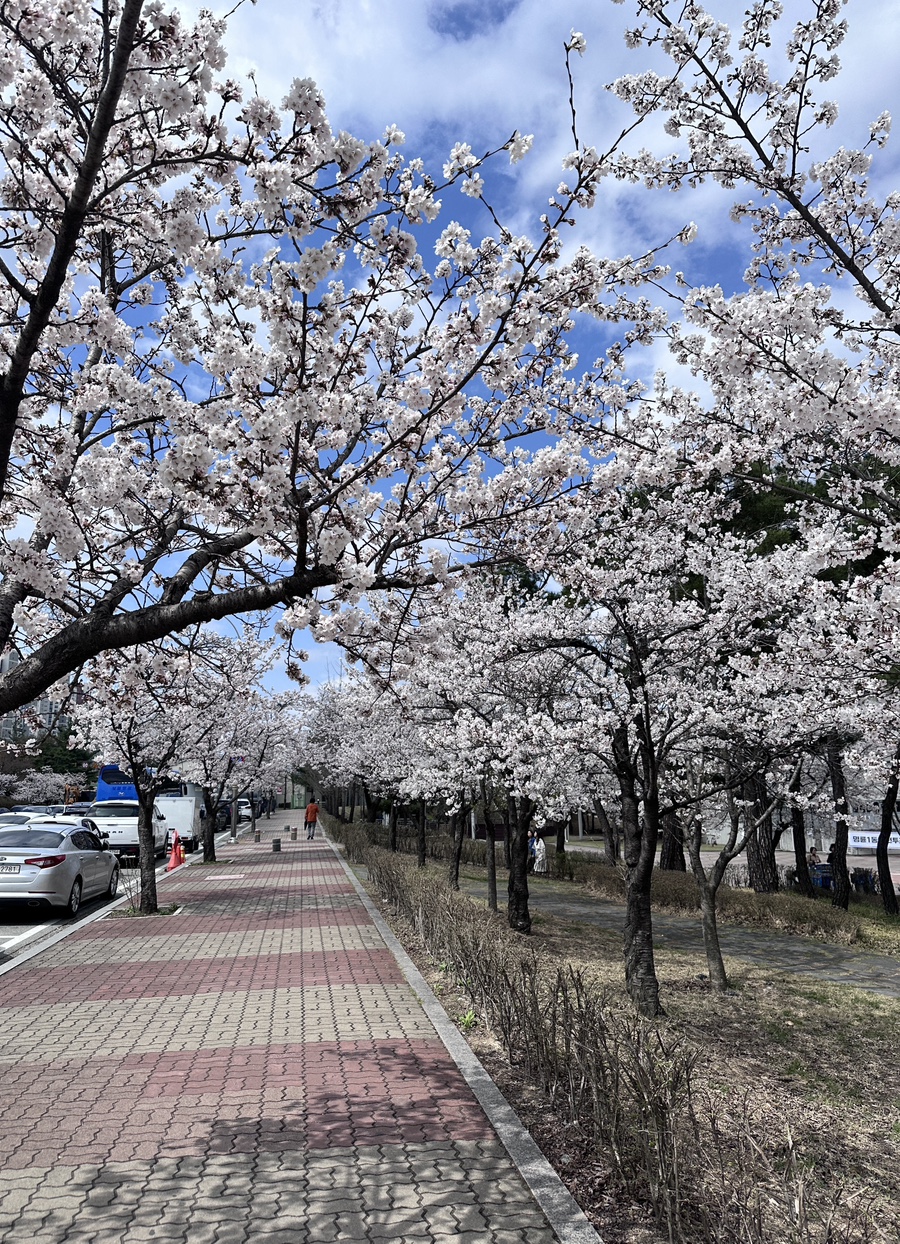 젊음의광장매점 이미지