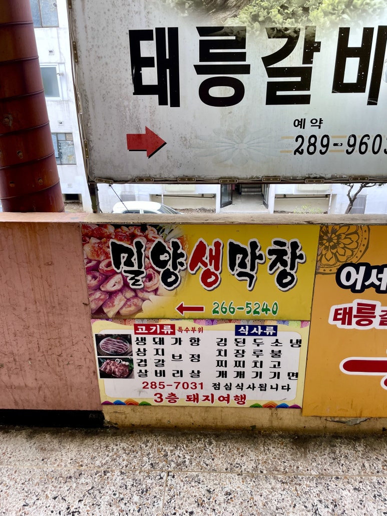 밀양생막창 이미지