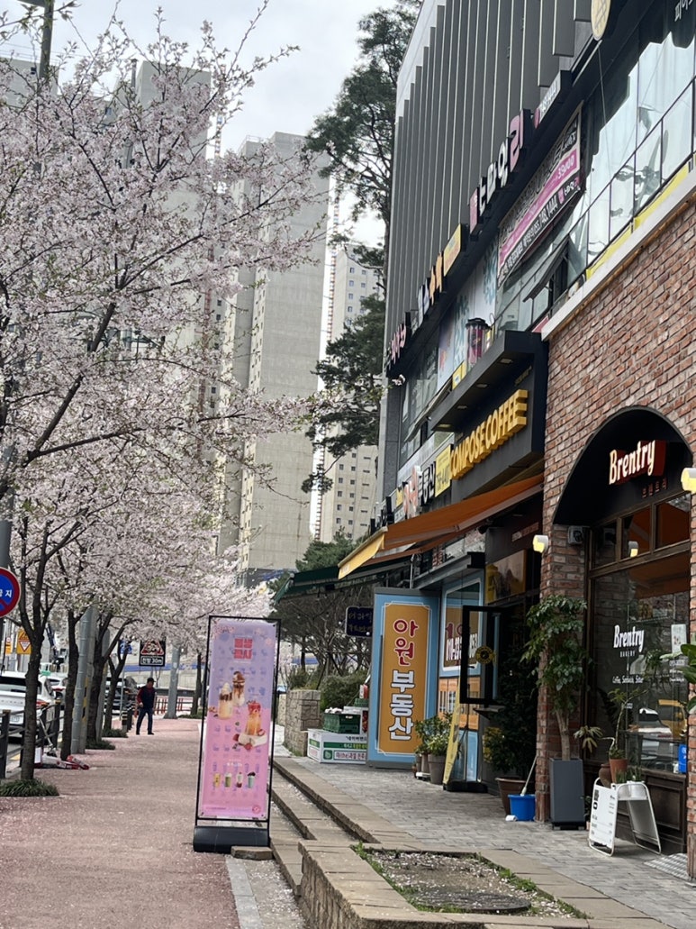 브렌트리 이미지