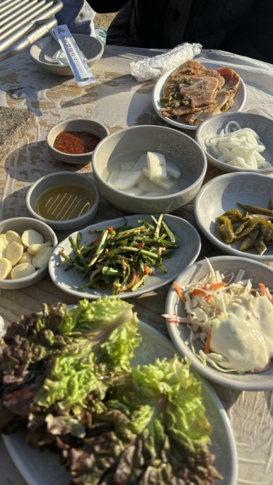 금남멧돼지 이미지