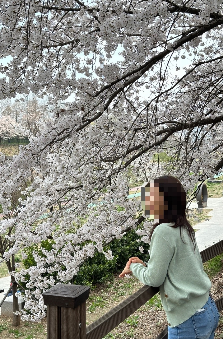 다모아호프 이미지