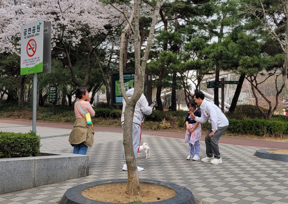 황금텃밭농장 이미지