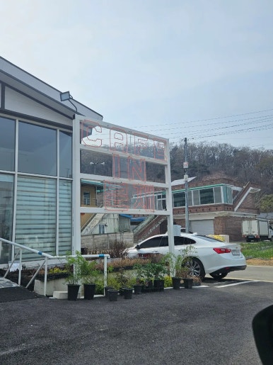 카페인 분재 이미지