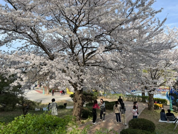 은파미용실 이미지