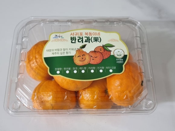 훈이네과일야채 이미지