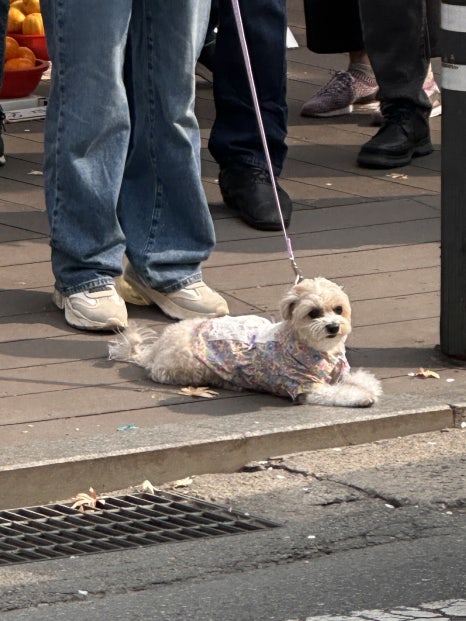영화사 정원 이미지
