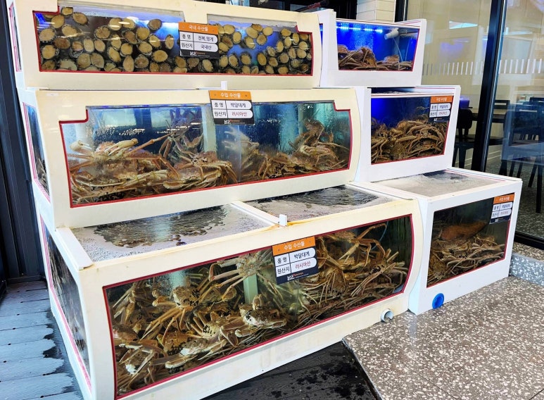 영덕대게집 이미지