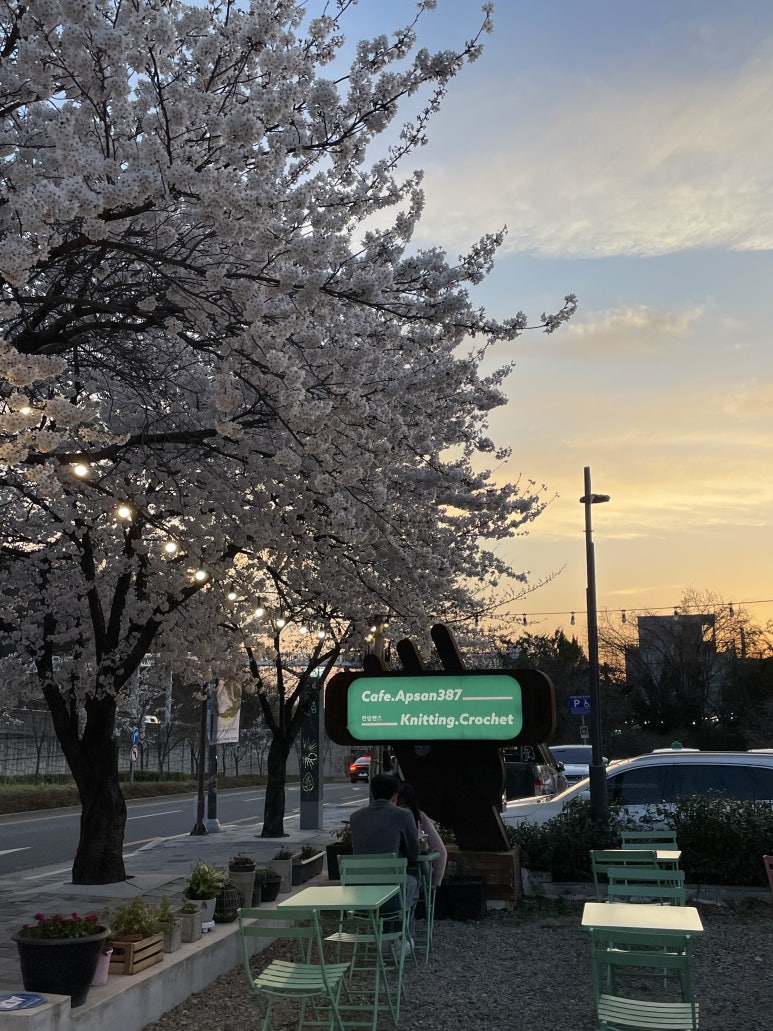 앞산387 이미지