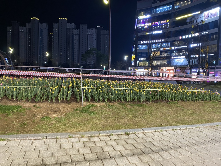 미태리 향남로데오점 이미지