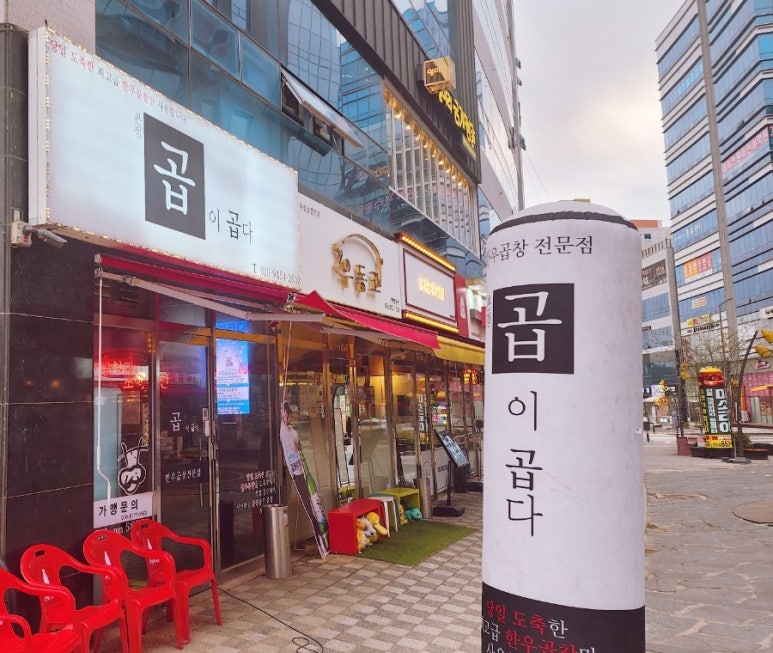 곱이곱다 이미지