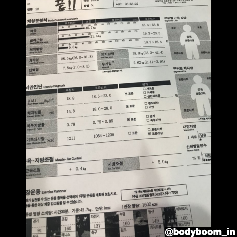 BODYBOOM 이미지