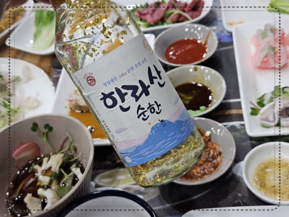 제주복어 이미지