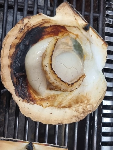 마구잡이수산 이미지