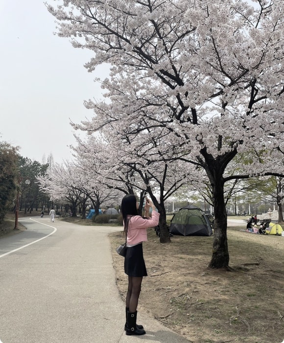 프레누 이미지