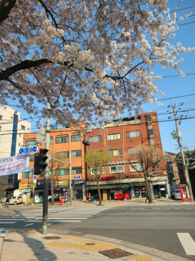 라파휴 이미지