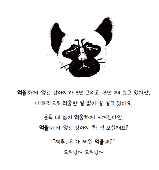 김예 이미지