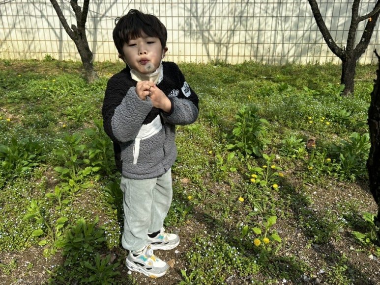 타코비 대전관저점 이미지
