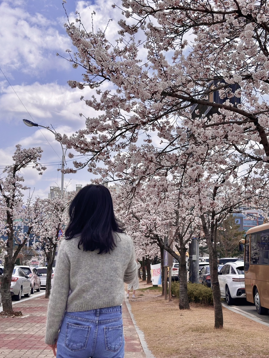 젊음의광장매점 이미지