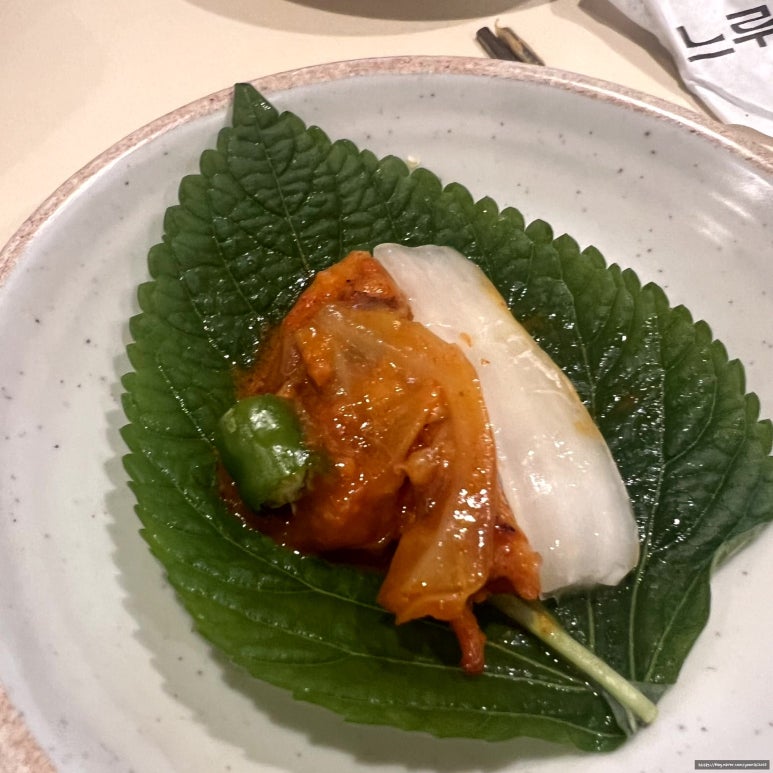 차느루 이미지