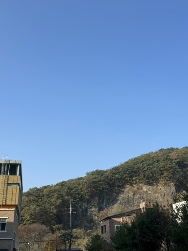 지한초등학교 이미지