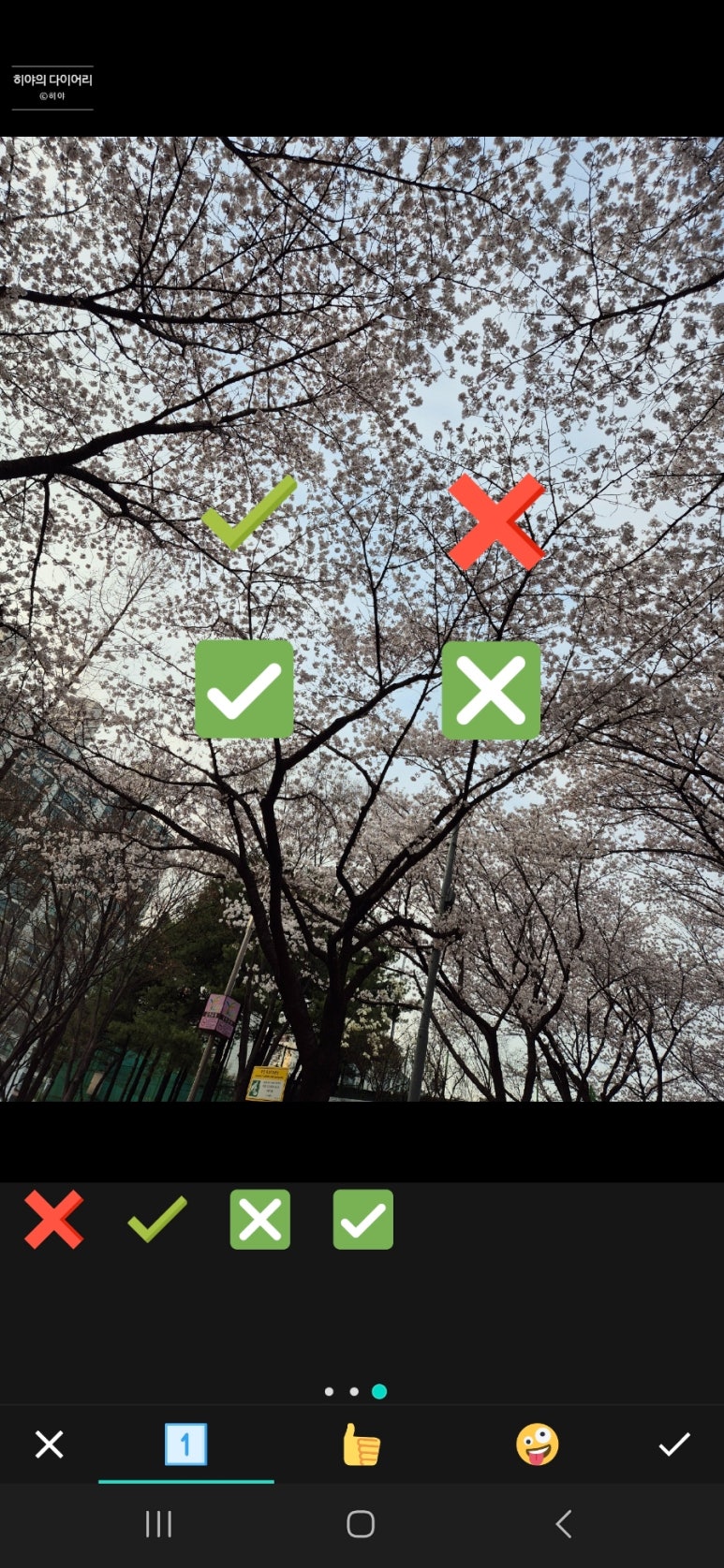 동그라미모바일 이미지