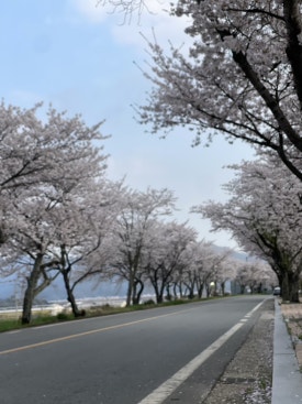 유명닭집 이미지