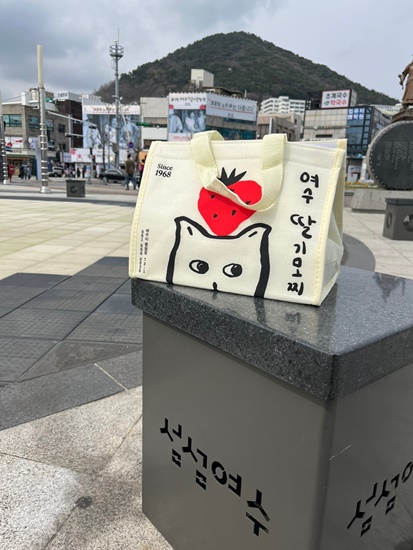 3대여수딸기모찌돌산 이미지