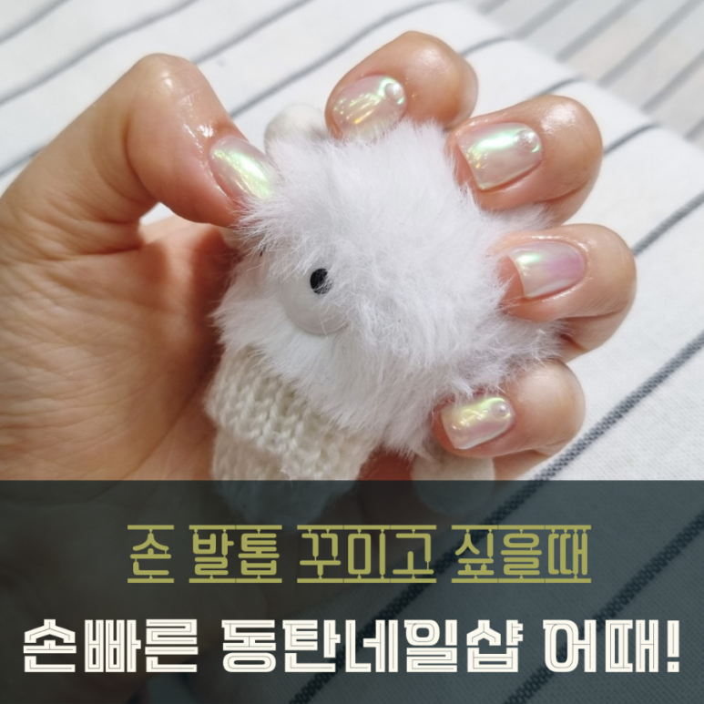 네코네일 이미지
