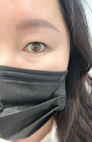 팽브로우 이미지