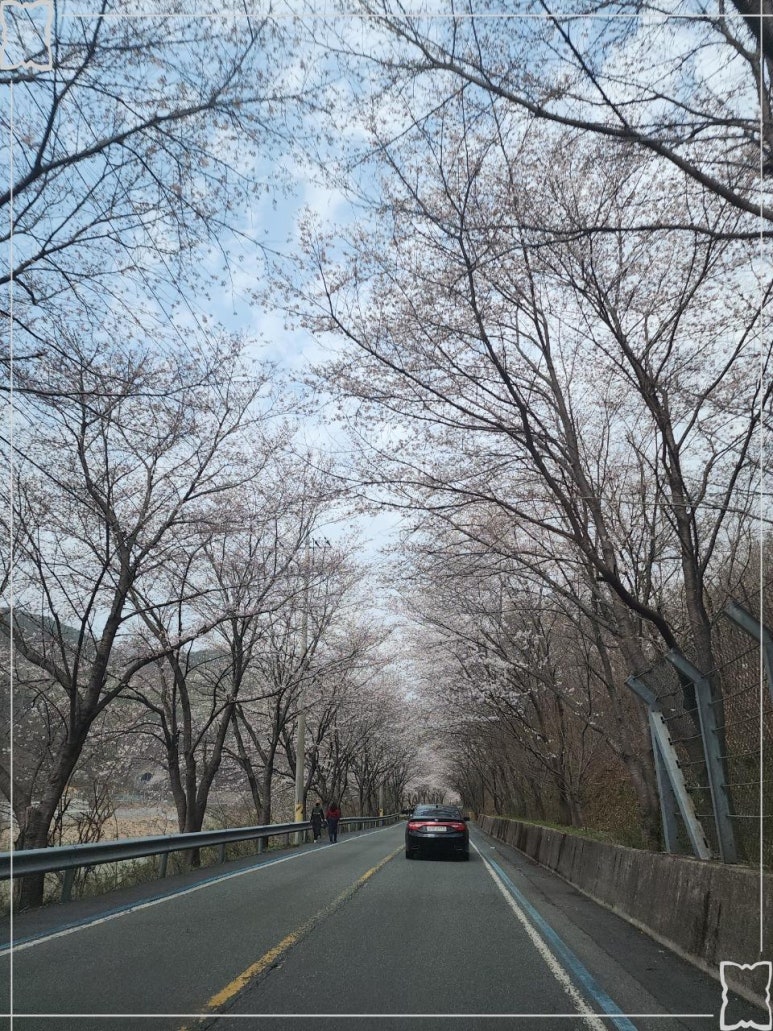 압록유원지수상레저 이미지
