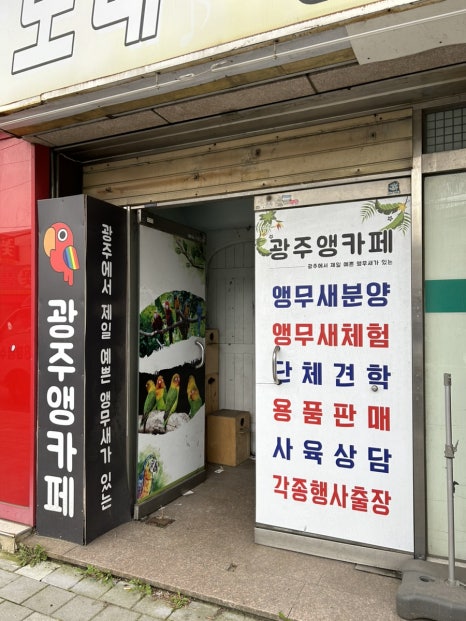 앵무새노래연습장 이미지