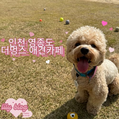 놀이터 분식카페 이미지