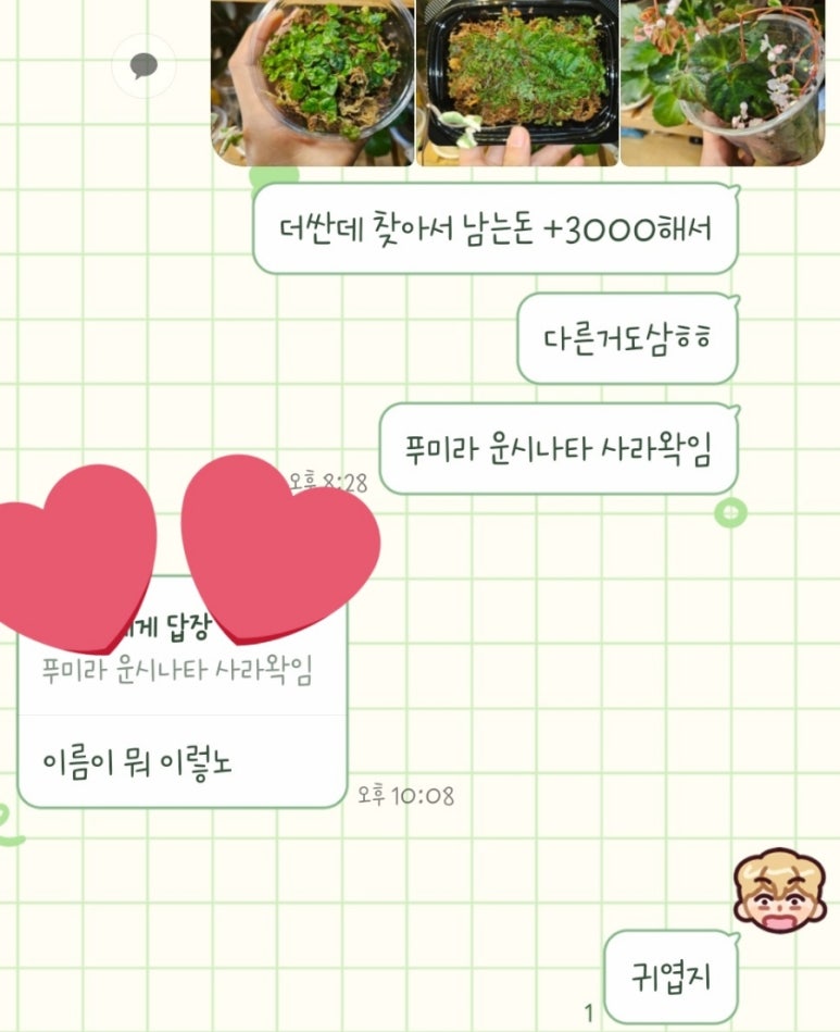 마이온네이처 이미지