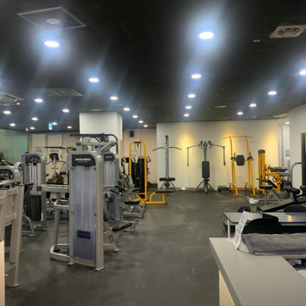 엘바디핏 이미지