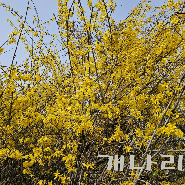 유하의정원 이미지