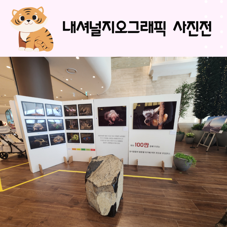 내셔널지오그래픽대전 이미지