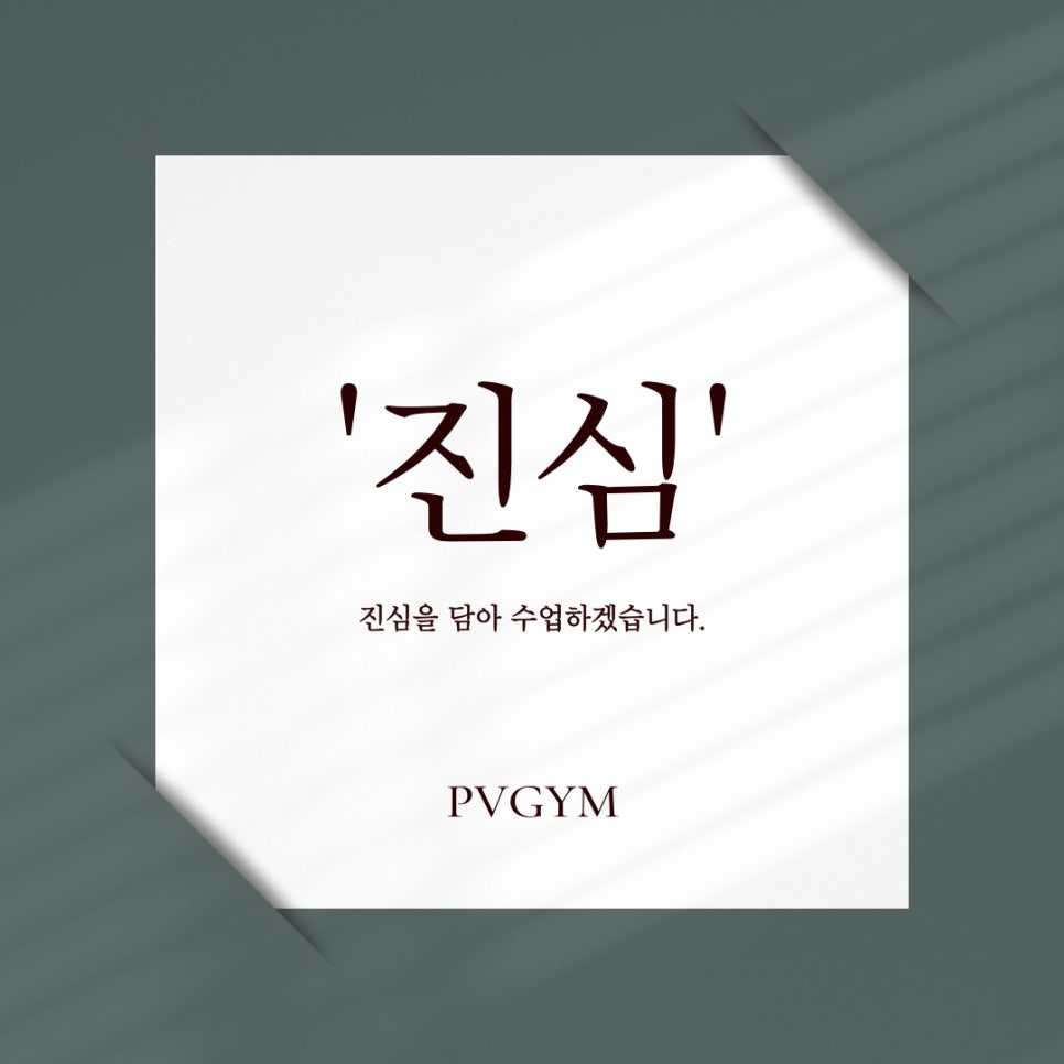 피브이짐 이미지