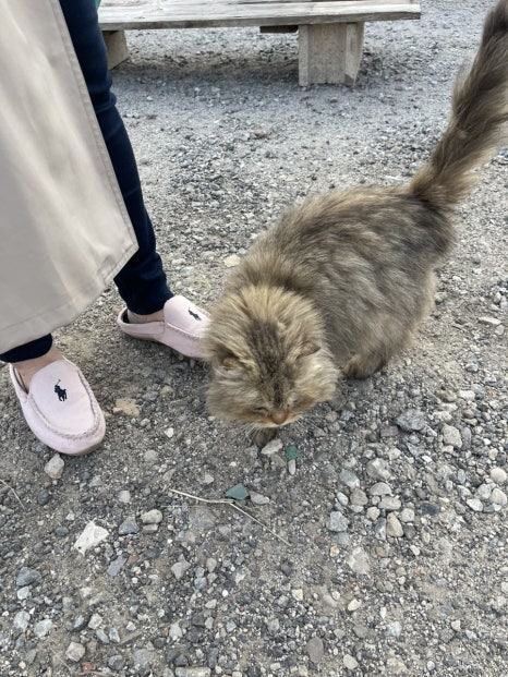 카페소소리 이미지