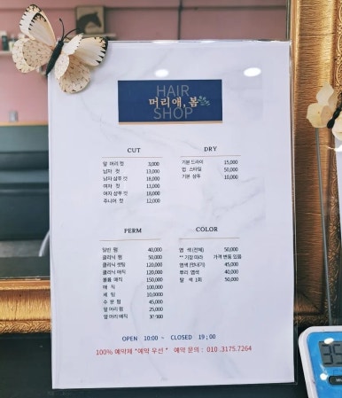 머리애봄 이미지