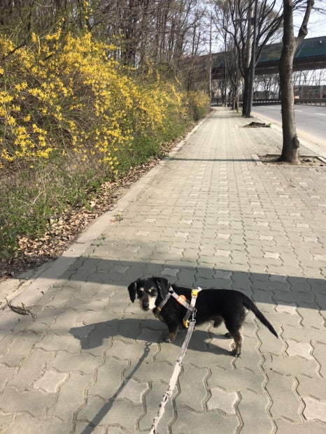 슬로우피크닉 이미지