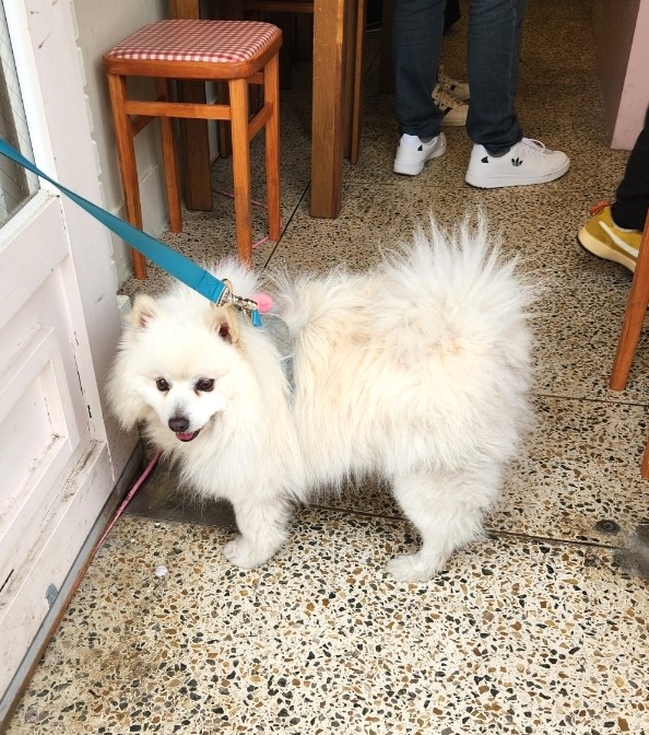 줄리아스케이크룸 이미지