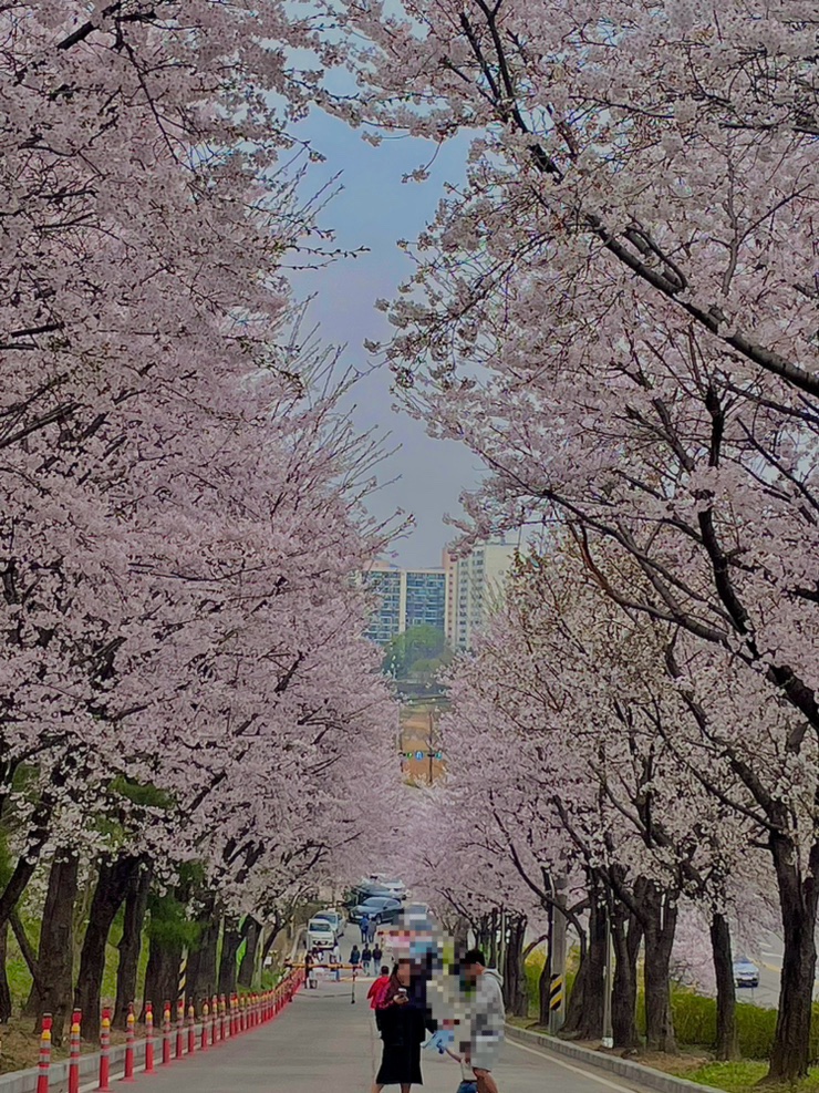정수수산 이미지