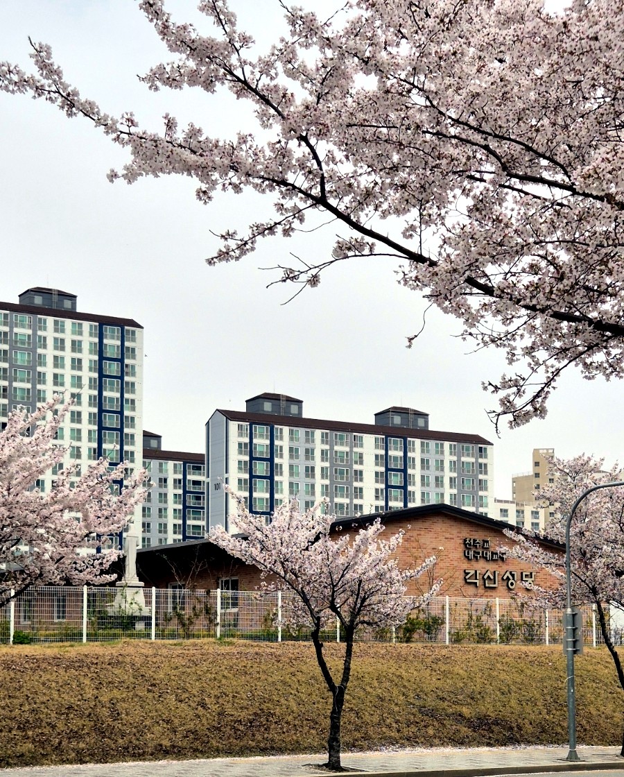 400도화덕피자&화덕샌드위치대구혁신도시 이미지