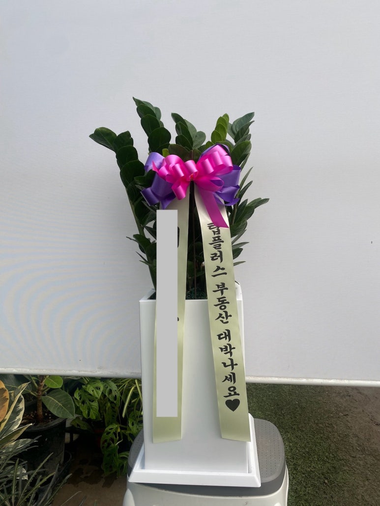 장암화원 이미지