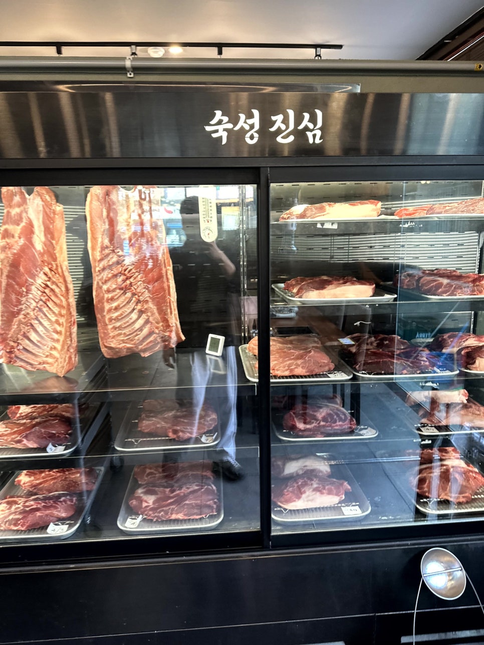 육화탄 이미지