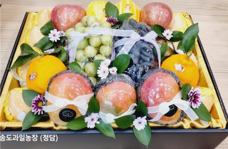 송도과일농장정담 이미지