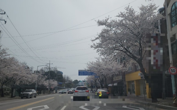 개나리식자재마트 이미지