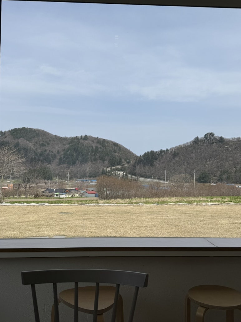 카페나리 이미지
